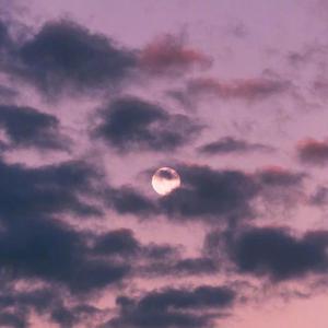 国模工作室流出两个漂亮
